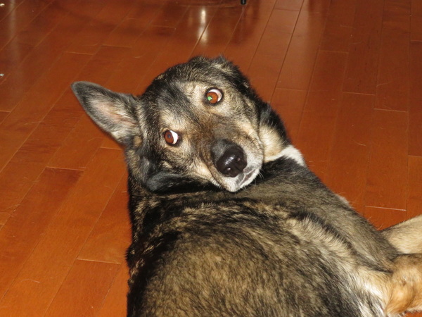 2020 07 04 from the #motorcycle #Jeep #adventure #travel #photooftheday 