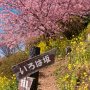 【まつだ桜まつり】栃木民としてはガタッと反応せざるを得ない地名が出てきたｗ