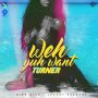 TURNER - WEY YUH WANT - #ITUNES #SPOTIFY 1/26/18 #PRE 1/19/18 @lenkey5star