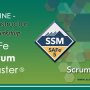 SAFe® 5.0 Scrum Master (SSM) | Register Now | Scrum Stubs | Virtual Instructor Led Workshop | Meetups |