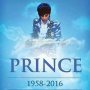 #Prince #5816