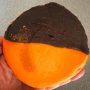 Orange is the new white
#blackandwhitecookies #halloween #nycimport