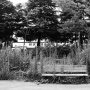 Bench next to a playground in Tomioka, Fukushima. - Selecting photos for my book. Publication date: March 9