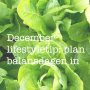 Tip van @nurdin_pattipilohy: Plan balansdagen in.
"In december hebben we een heleboel festiviteiten met veel lekker en calorierijk eten/drinken. Hier moet je ook zeker volop van genieten. Als het goed is heb je echter ook dagen waar je geen sociale aangelegenheden hebt. Dit zijn dan goede dagen om een balansdag van te maken.

Dus als je weet dat je een hoge (calorie) dag tegemoet gaat, zet er dan ook een lage (calorie) dag tegenover. Hiermee beperk je de ‘schade’ terwijl je wel volop kan genieten van de feestdagen!" 😇