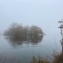 Spooky maar beste weer om te gaan rennen 🌫