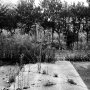 Playground in Tomioka, Fukushima. - Selecting photos for my book. Publication date: March 9