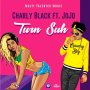 CHARLY BLACK FT JOJO - TURN SUH - #ITUNES 2/2/2018 @charlytrelawnyblack
