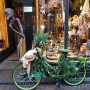 Amsterdam Urban Camouflage