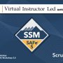 SAFe® 5.0 Scrum Master (SSM) | Register Now | Scrum Stubs | Virtual Instructor Led Workshop |